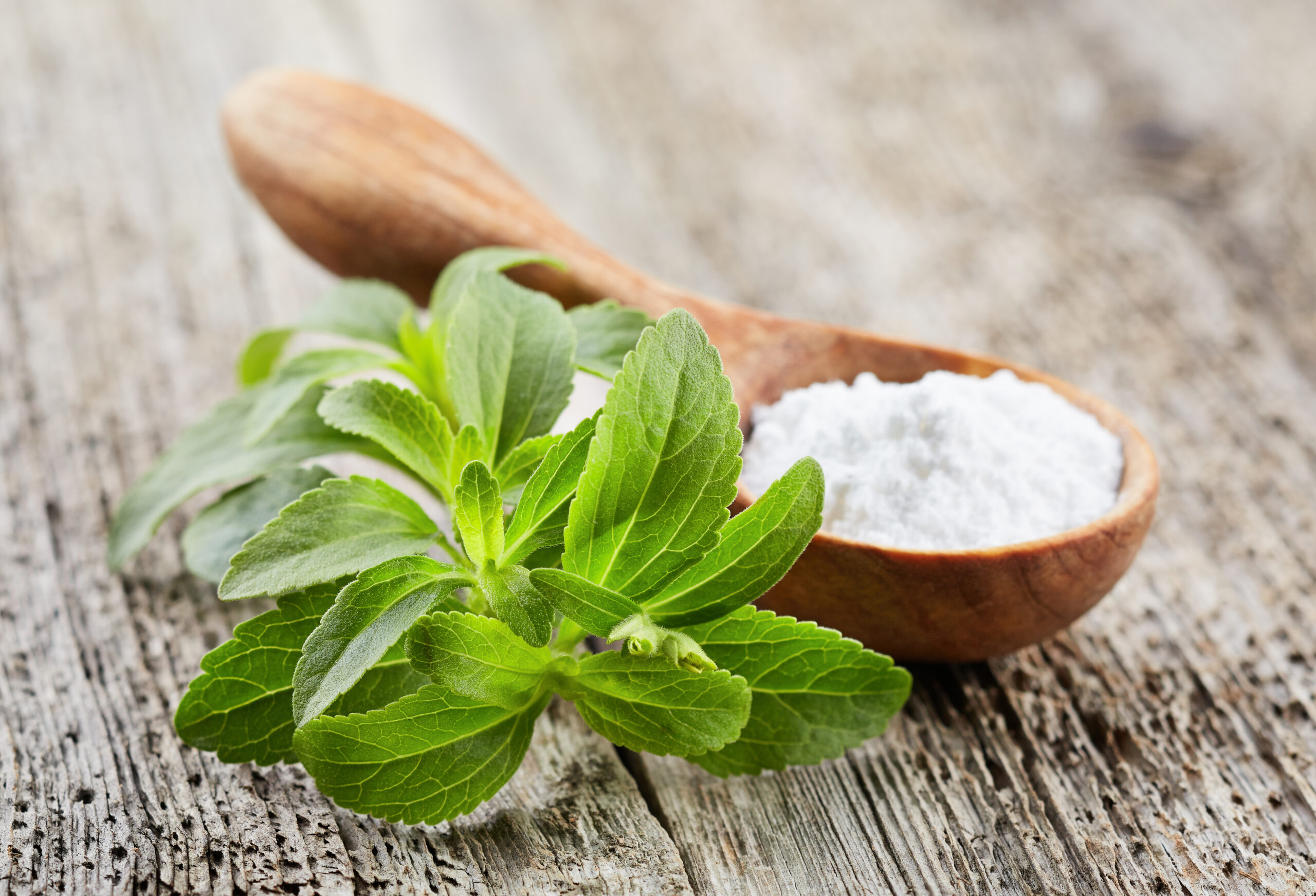 Hvad er Stevia – Naturlig Sødemiddel Guide